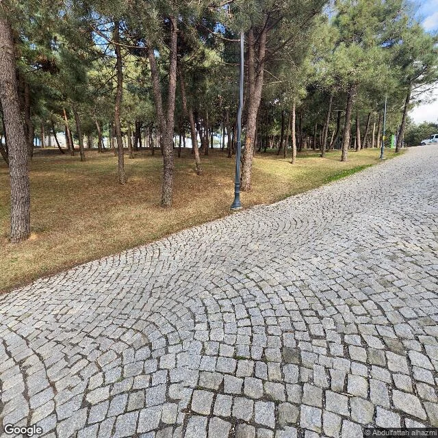 Rooftop Letter No. 1: The Highest Point of Istanbul
