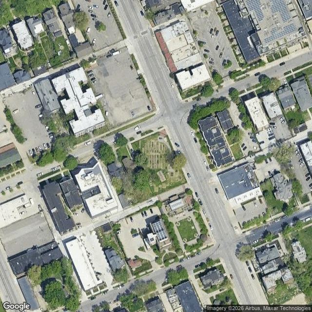 The garden from above