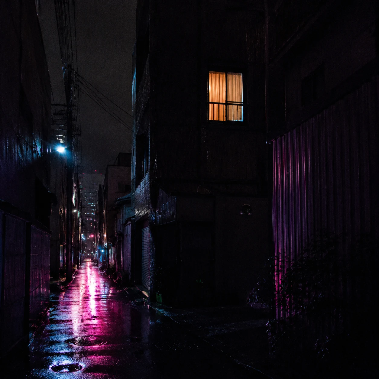 witnessed (mado) cover