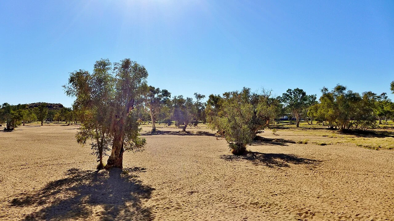 The Todd River, dry: pale red sand between white ghost gums.