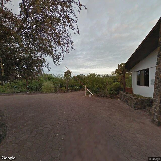 A paved access road in the volcanic scrub at the edge of Puerto Ayora