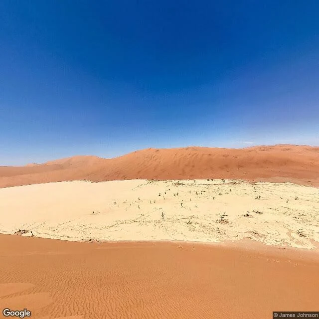 dead camelthorn trees on white clay in front of a terracotta dune