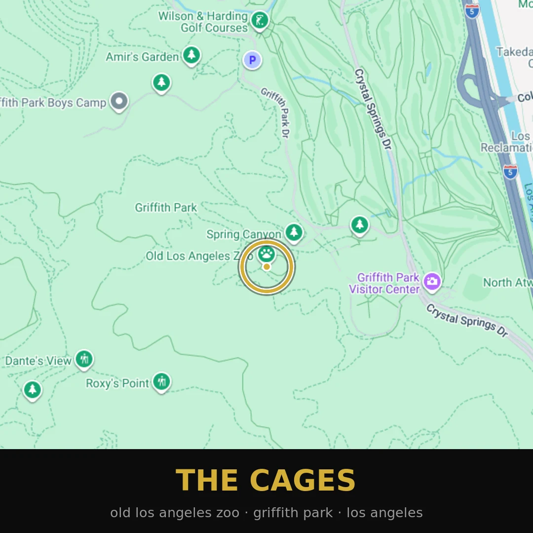 the cages